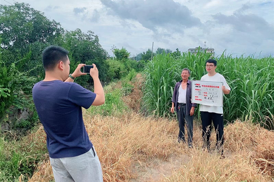 金华义乌人保财险：推进糖果蔗承保，为农户保驾护航