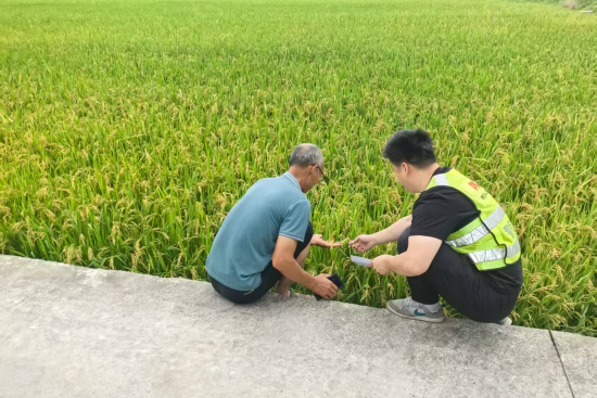 金华浦江人保财险:为农业大户织密台风防护网