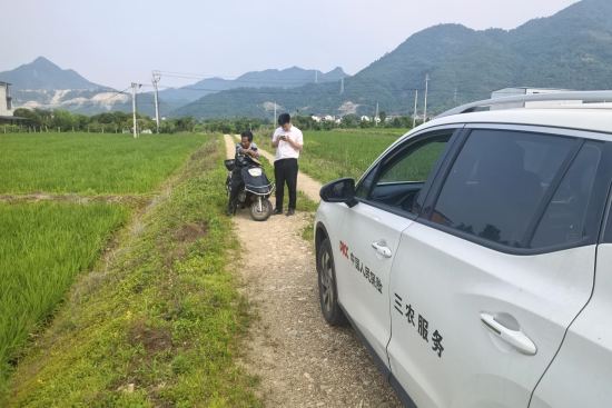 金华浦江人保财险：为农户撑起“保护伞”