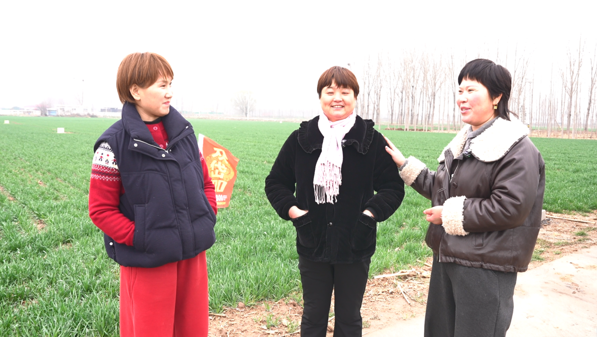 0fb5236c8a717c1b2fe1af411960e6ad