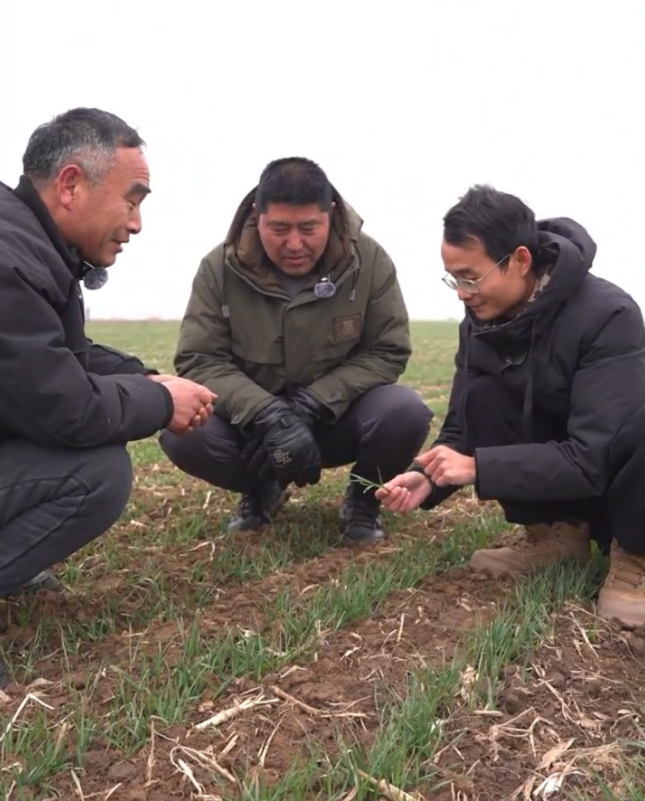 9736125f-137a-431f-9aae-28fbca91b82f