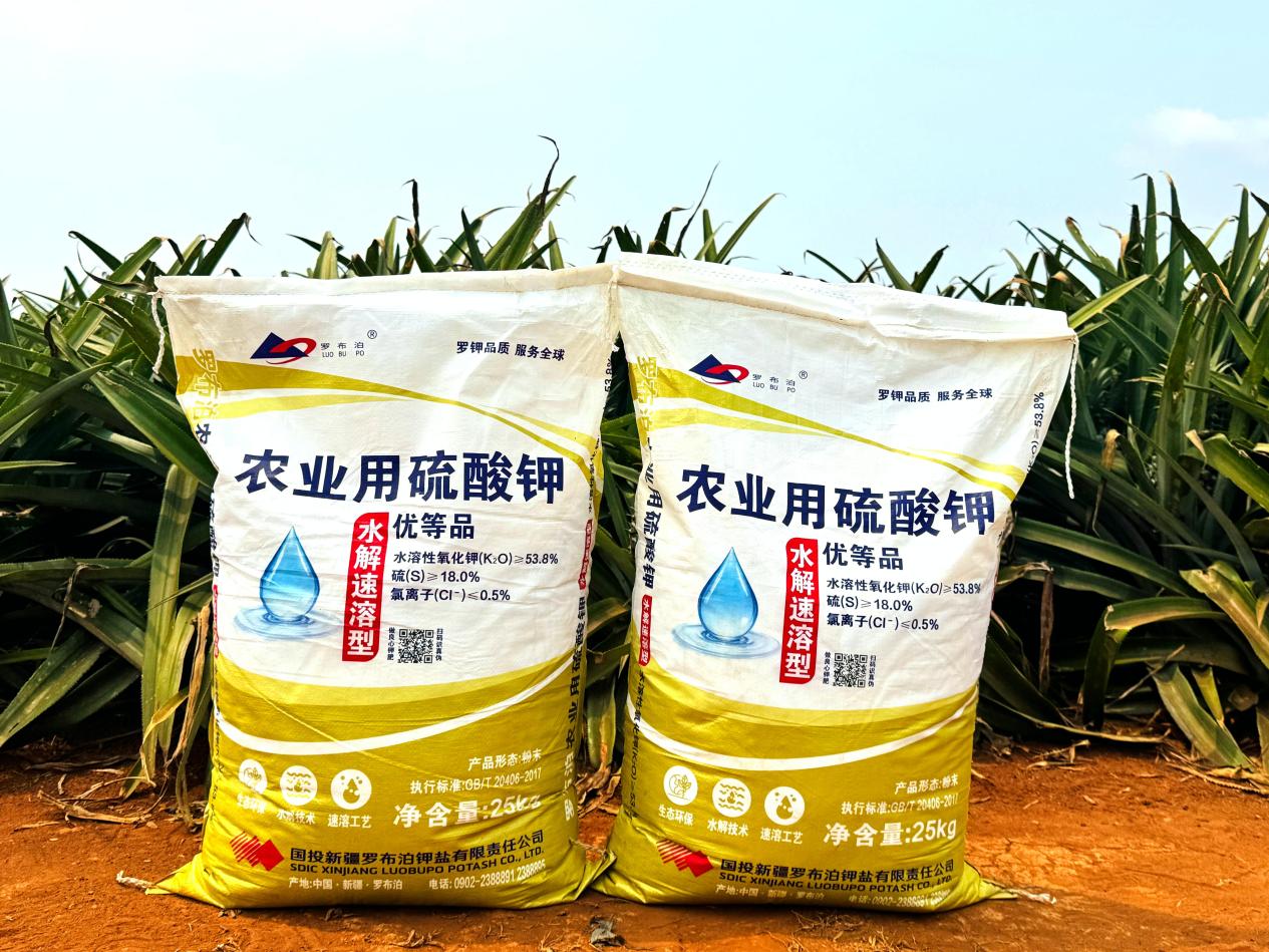 微信图片_20260329171139_412_129