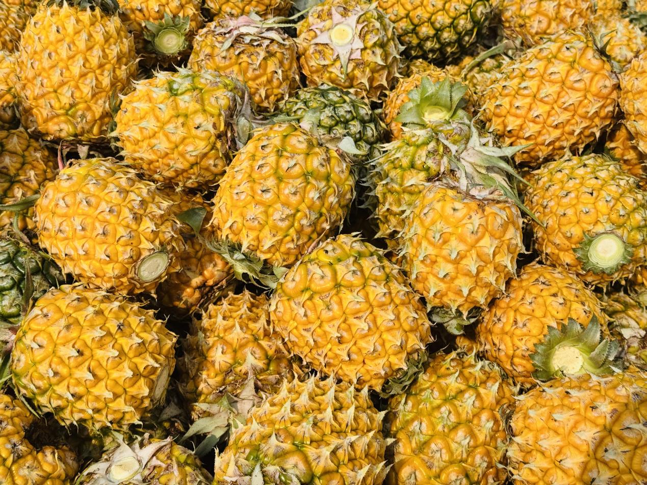 微信图片_20260329192420_459_129