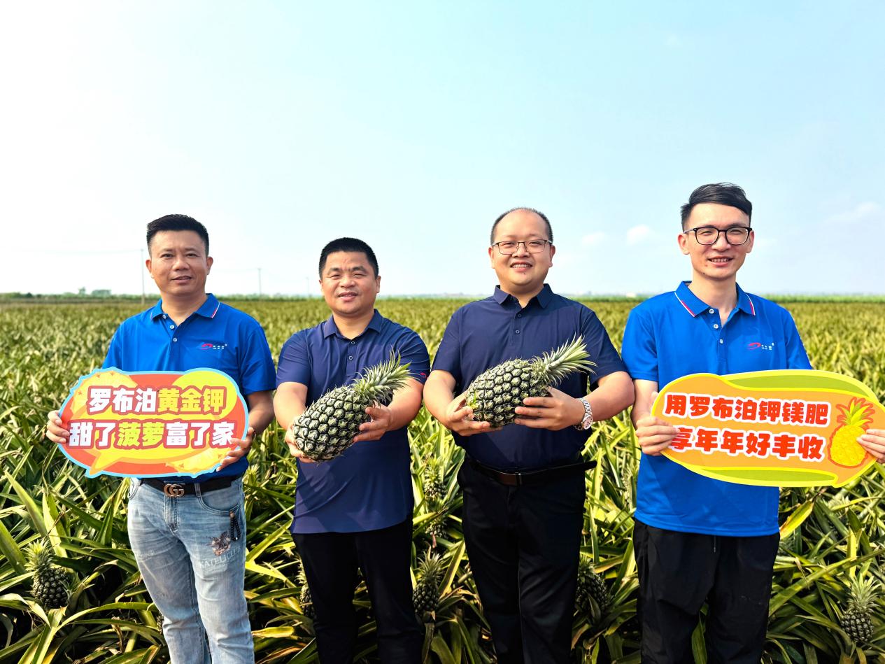 微信图片_20260329171158_422_129