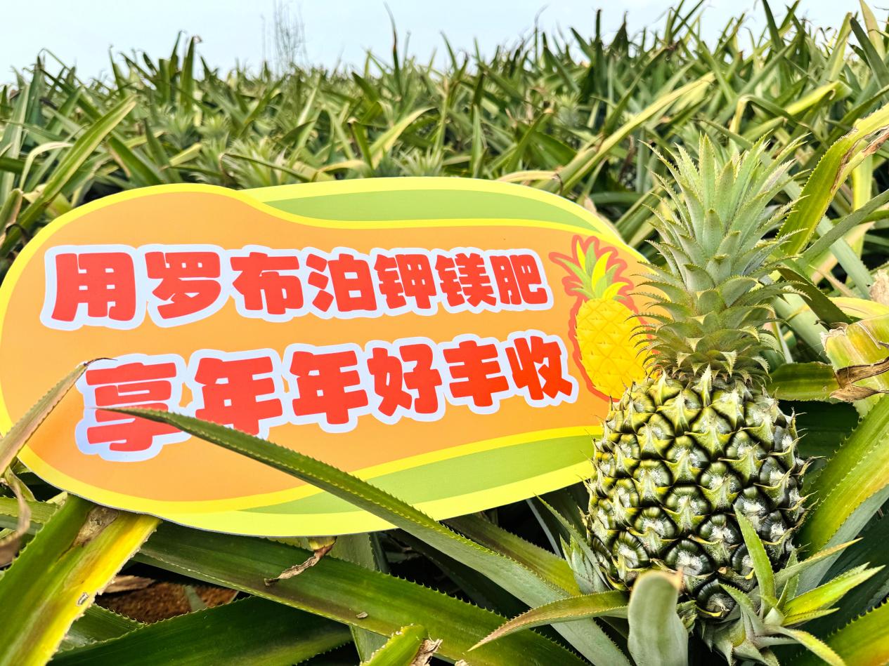 微信图片_20260329191718_453_129