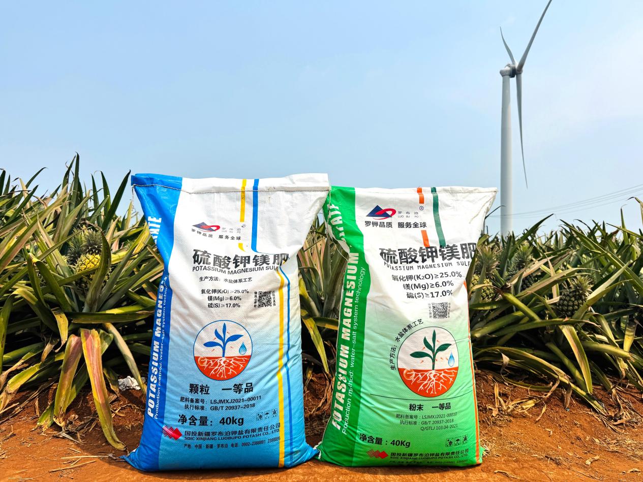 微信图片_20260329171129_411_129