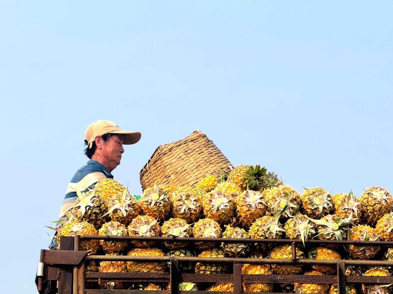 微信图片_20260329171115_408_129