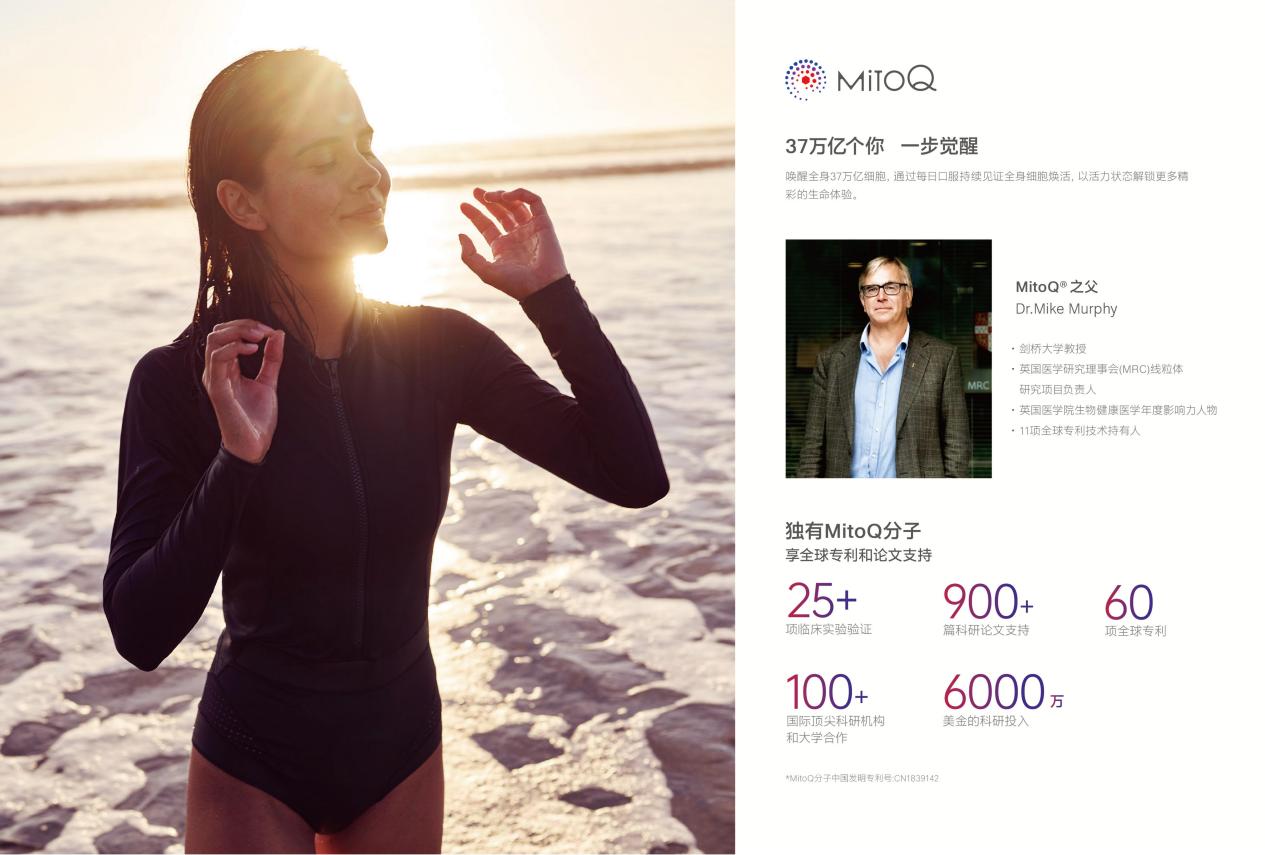 VTNƷ���ֲ�-20251012_23