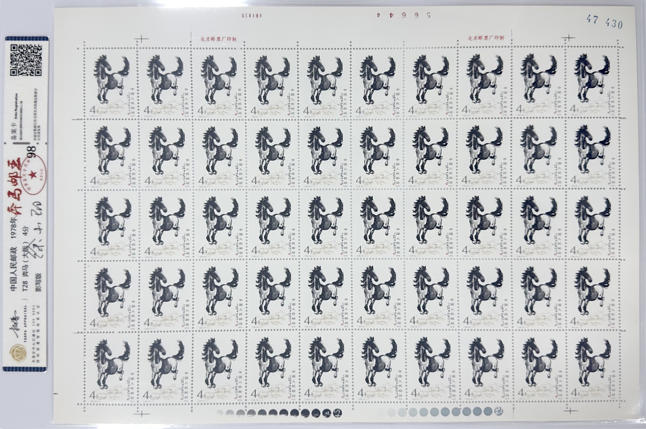 C:/Users/Administrator/Desktop/奔马邮票活动照片(1)/13.jpg13