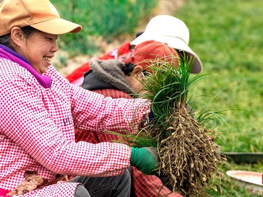 39076cbfbf8c54f616b17509d8e7be60