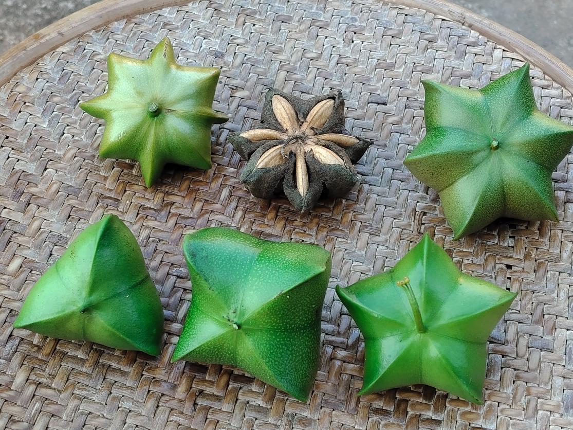 lQDPJwmmCUAgMsvNDADNEACwXjWX01CtXToJQCHAQNejAA_4096_3072