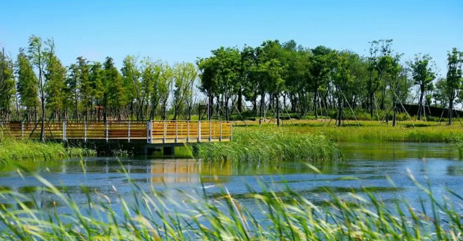 如图片无法显示，请刷新页面