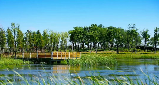 如图片无法显示，请刷新页面