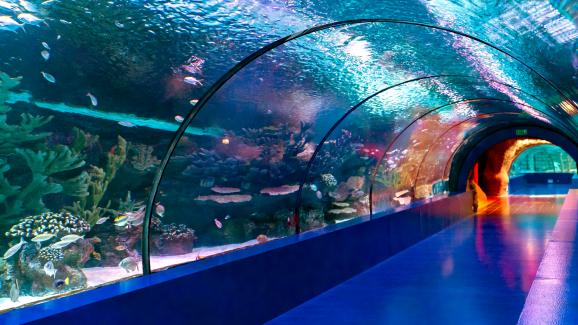 Antalya Aquarium 3